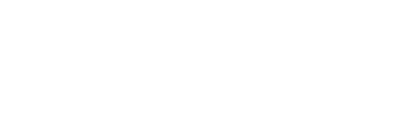 Central Securities Depository logo