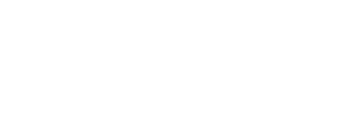 Spring Venture Services logo