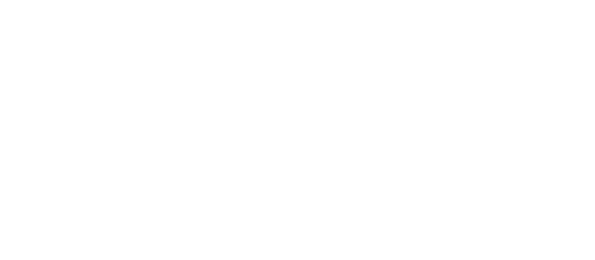 Startup Discovery School logo