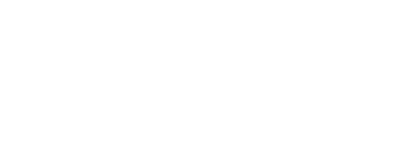 Westerwelle Foundation logo