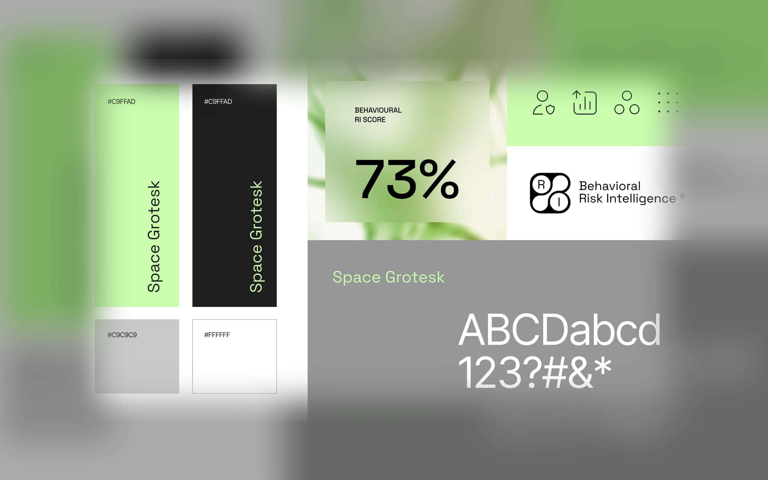 Behavioural Risk Intelligence colour and type system